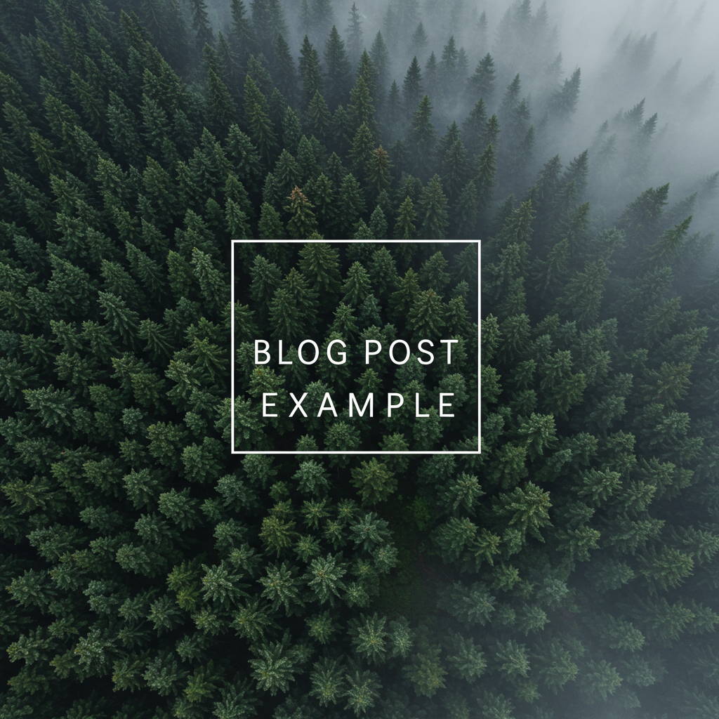 Blog Cover 3